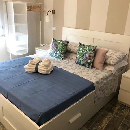 招待所 Solidea House